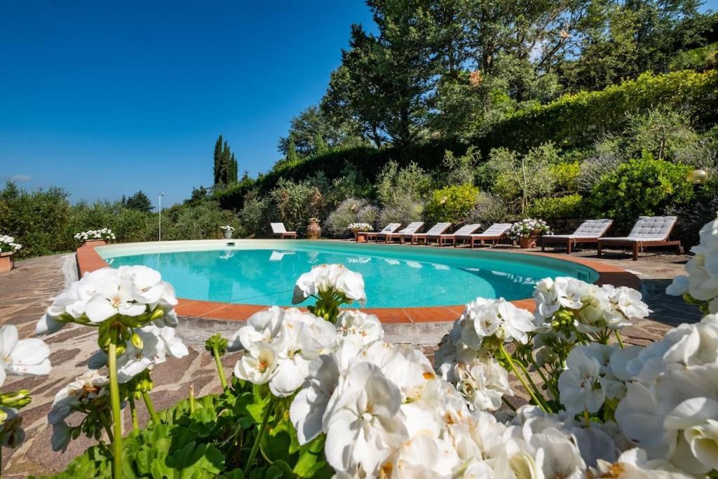 Casa Adriano Apartment Greve in Chianti Ngoại thất bức ảnh
